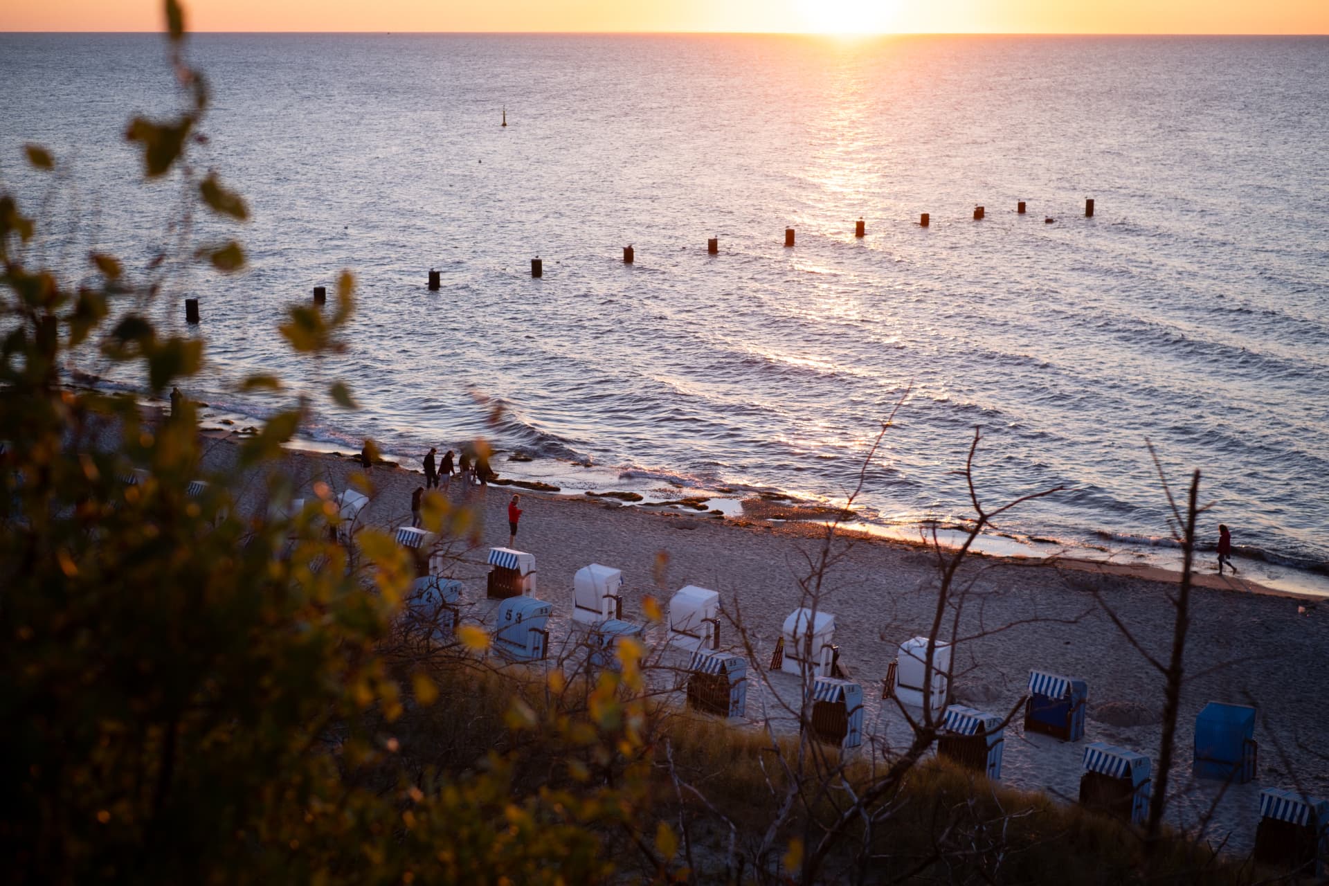 Blick über die Strandkörbe am Ostseestrand von Rerik